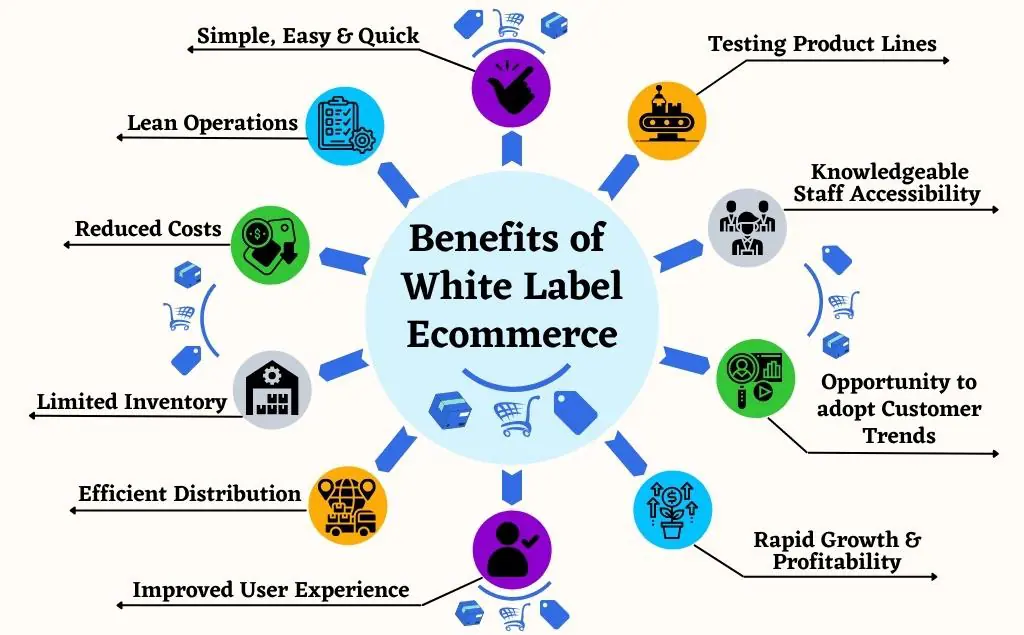 Branding Services - Lily Nuts Makhana